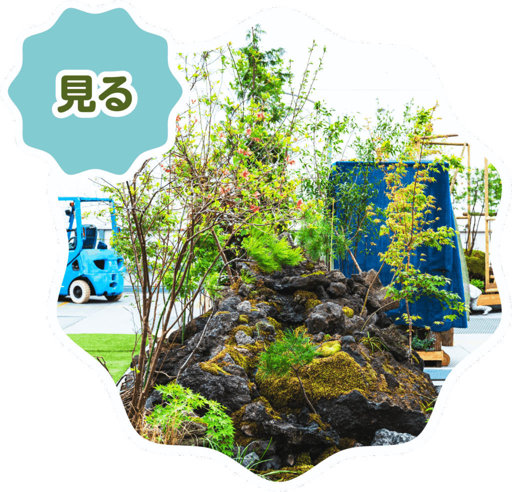 見る